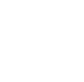 British Stunt Register